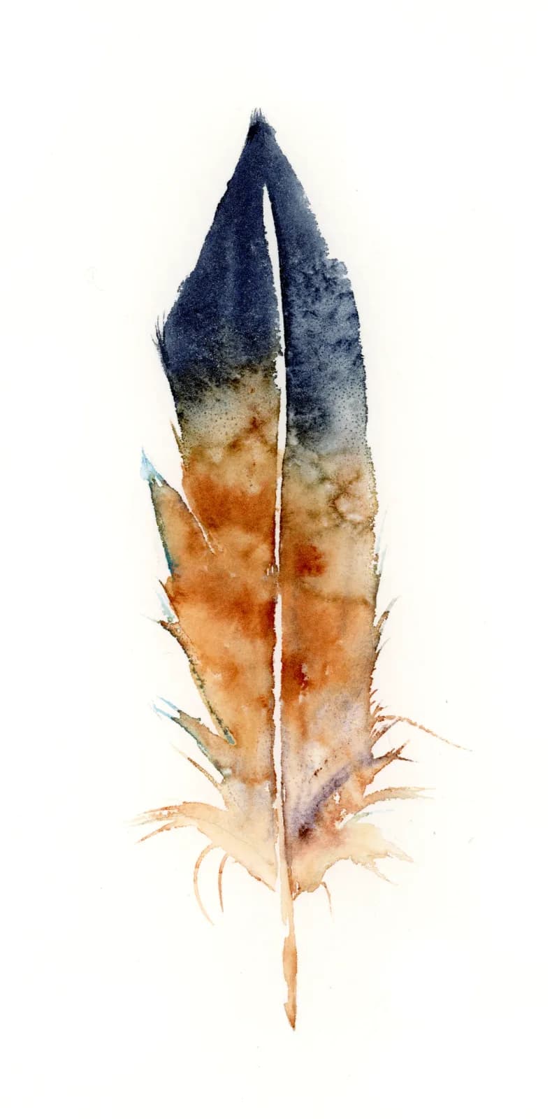 A detailed watercolor feather in rust and deep blue tones on cream paper.