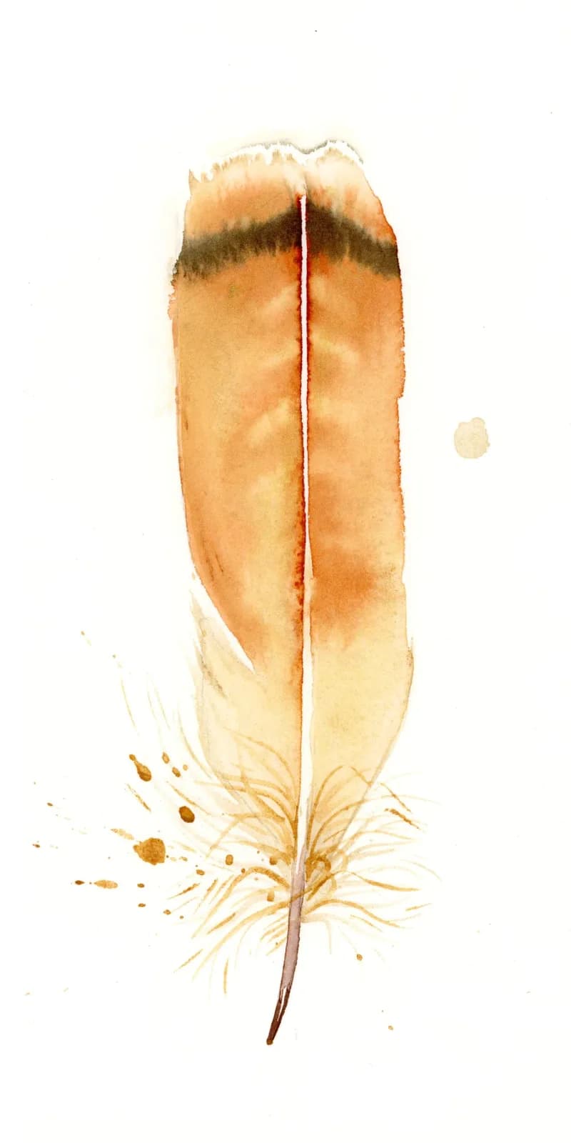 A single feather rendered in warm sepia and peach watercolor tones with delicate root details below.