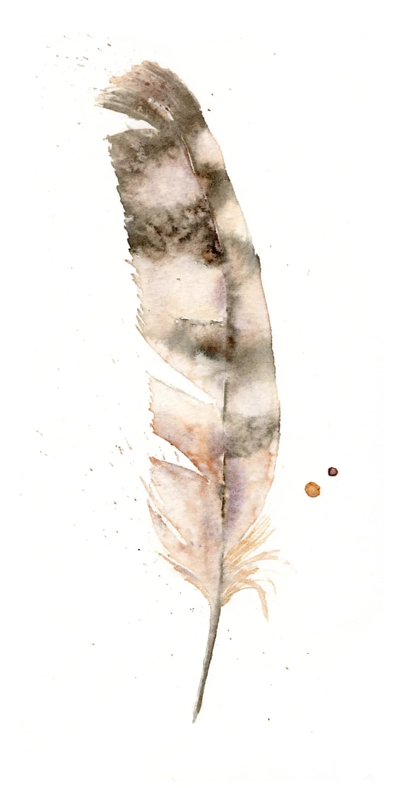 A weathered feather rendered in watercolor with bone, almond, and rodeo dust tones.