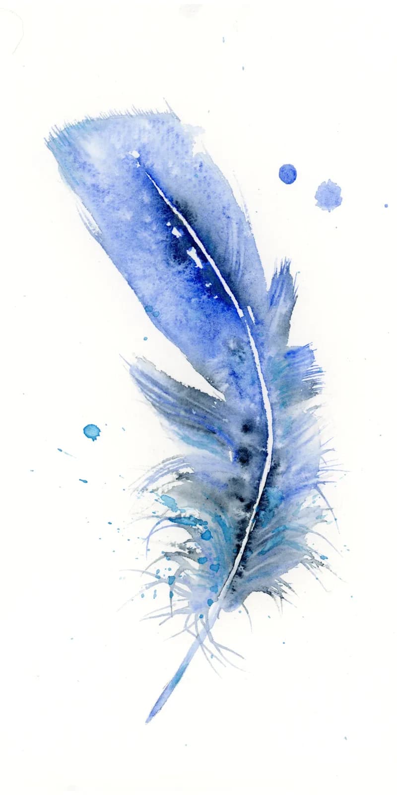 A delicate blue feather rendered in watercolor with soft chambray and jordy blue tones against white paper.