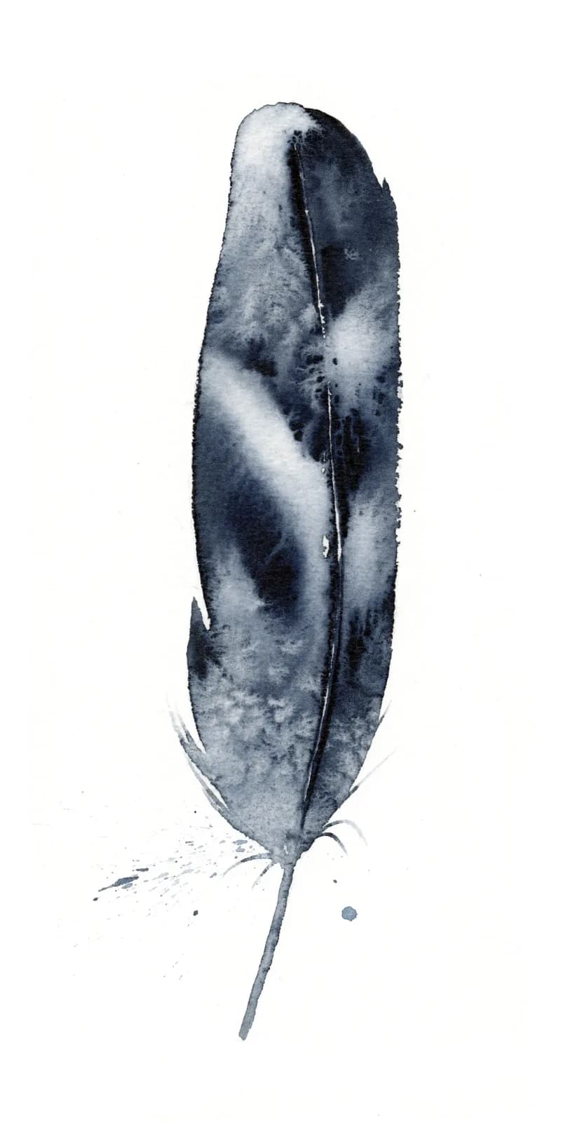 A solitary feather rendered in monochromatic ink wash with precise tonal gradations.
