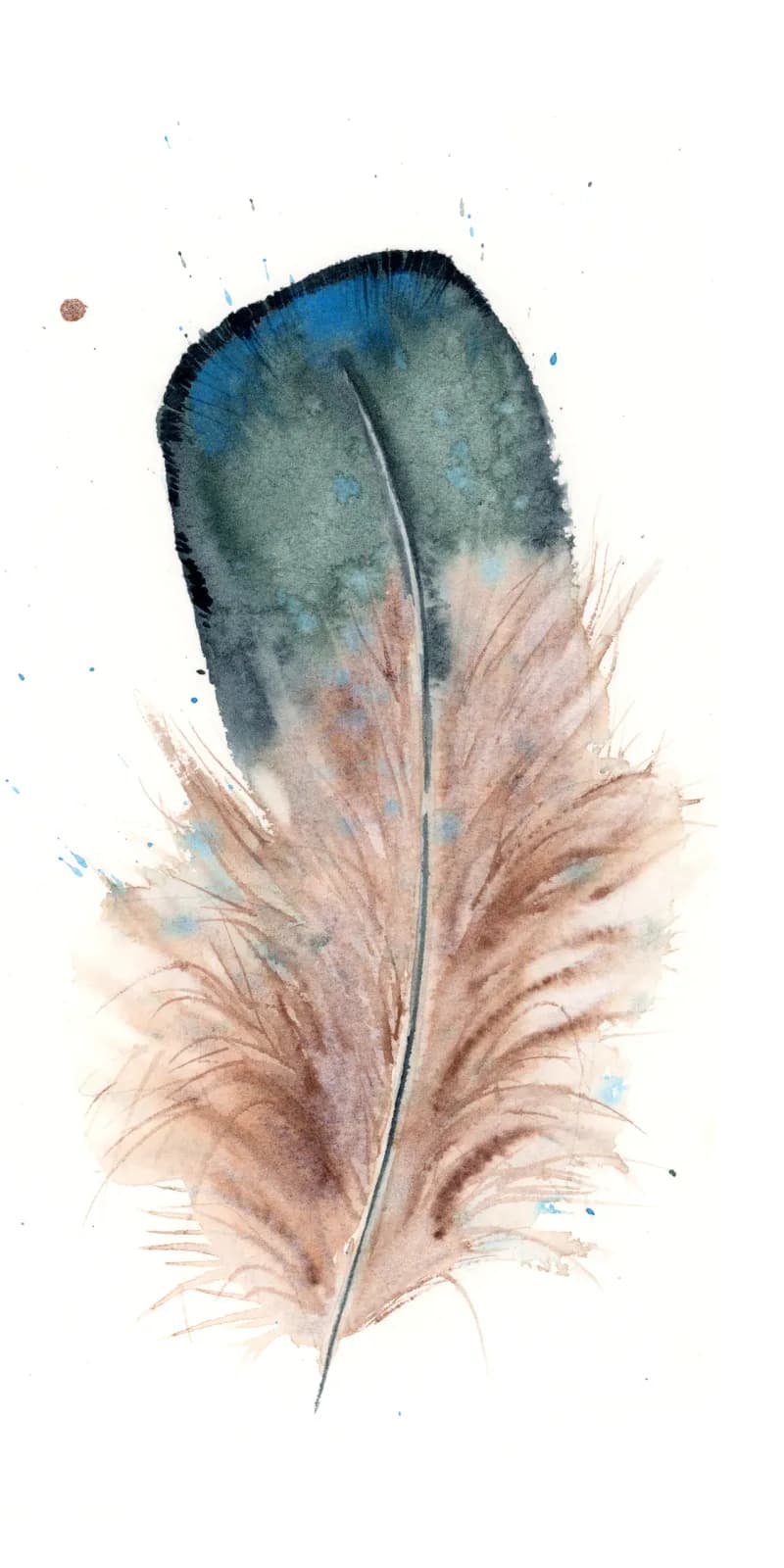 A blue and tan feather rendered in watercolor with soft translucent washes and delicate linework.
