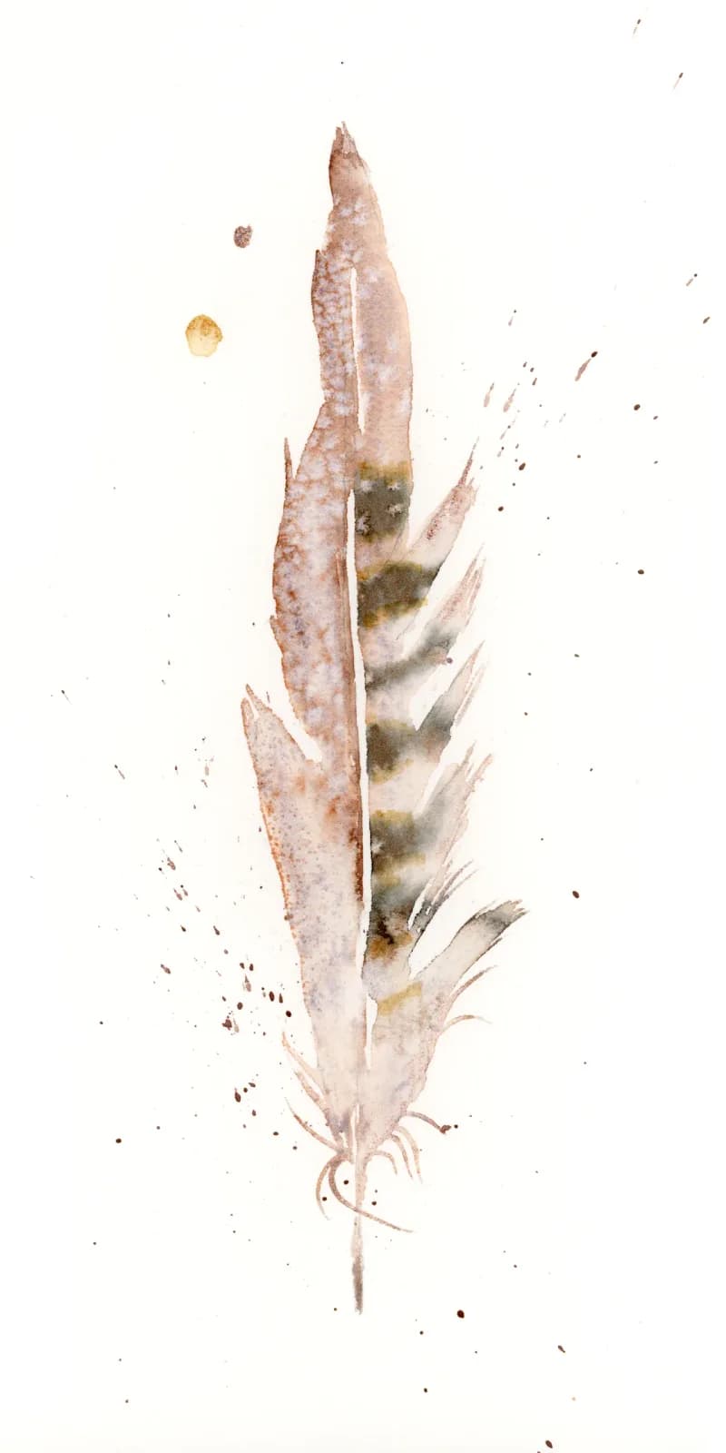 A single feather rendered in watercolor with tobacco brown, pearl, and bone tones, accented by subtle splashes.
