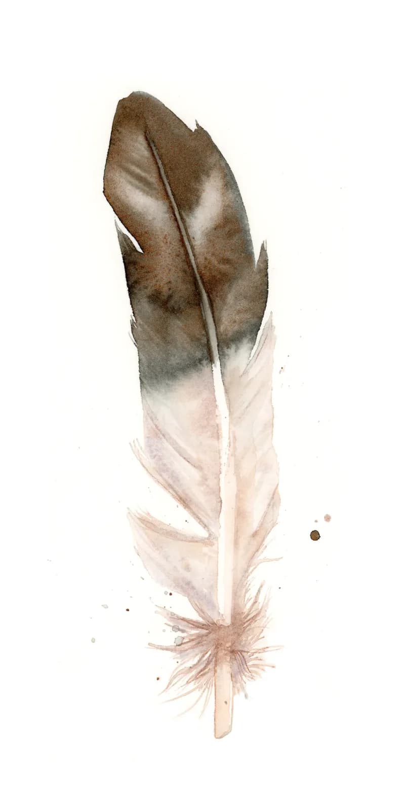 A single feather rendered in watercolor with tobacco-brown and bone tones, soft splashes at the base.