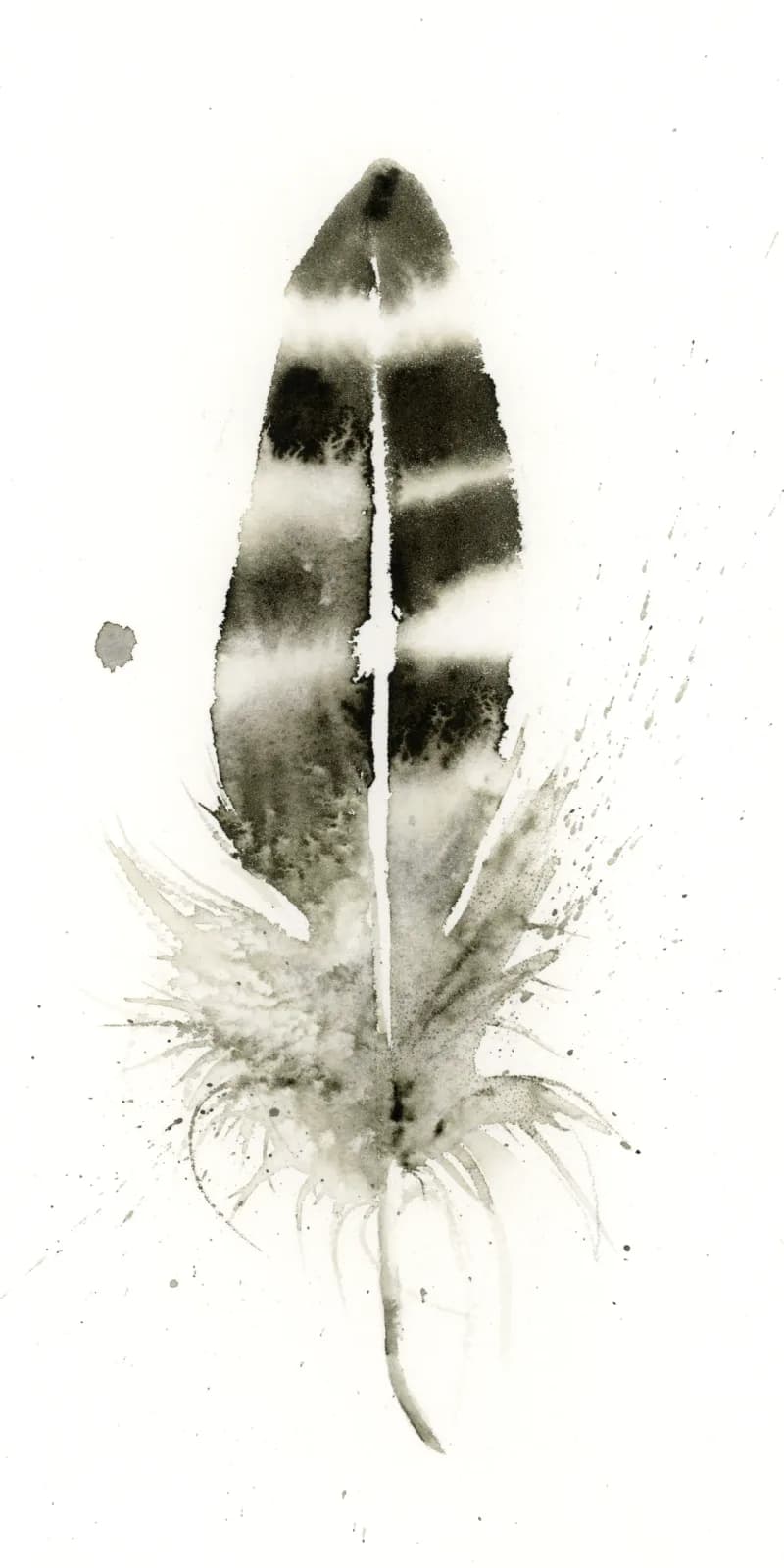 A feather rendered in monochromatic ink and wash with delicate barbs radiating from the spine.