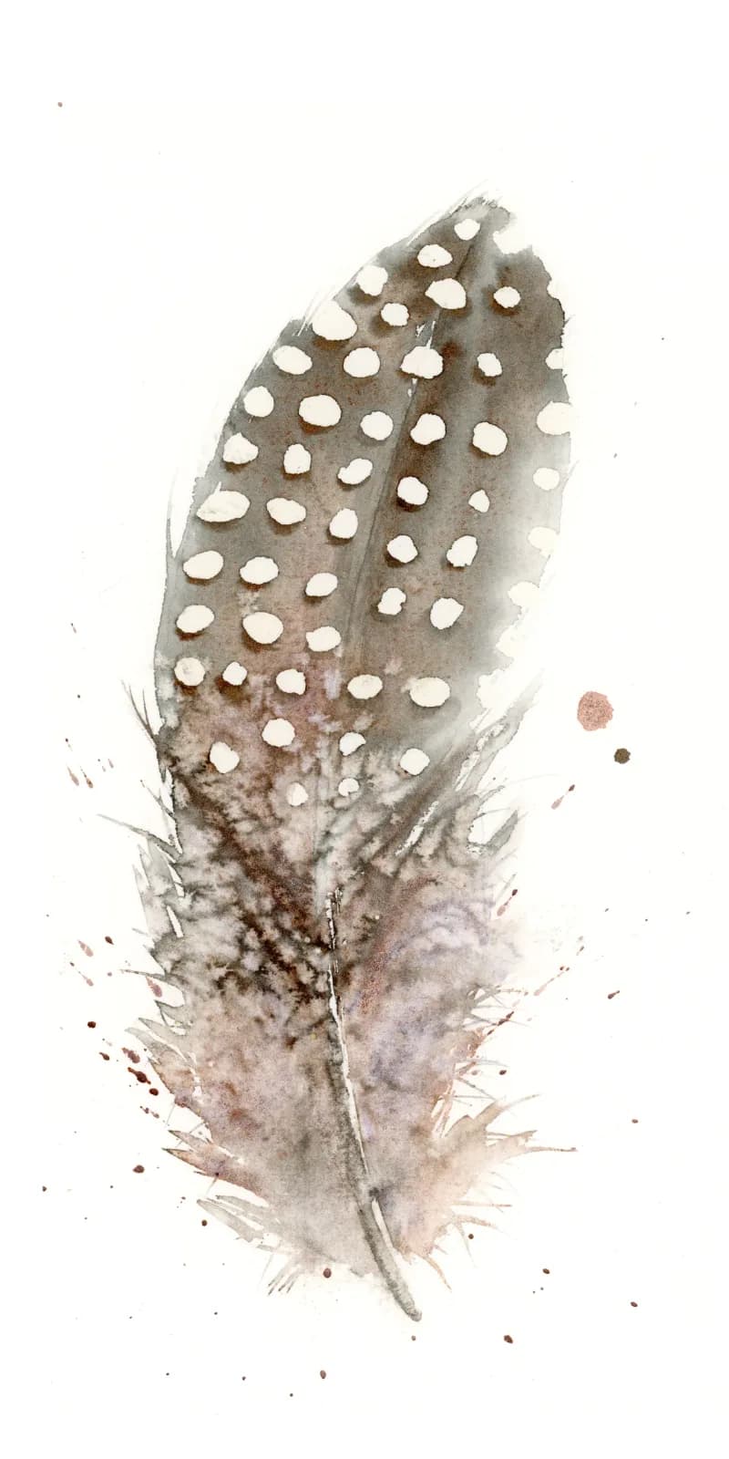 Speckled feather rendered in watercolor with soft stonewall, romance, and bronze tones.