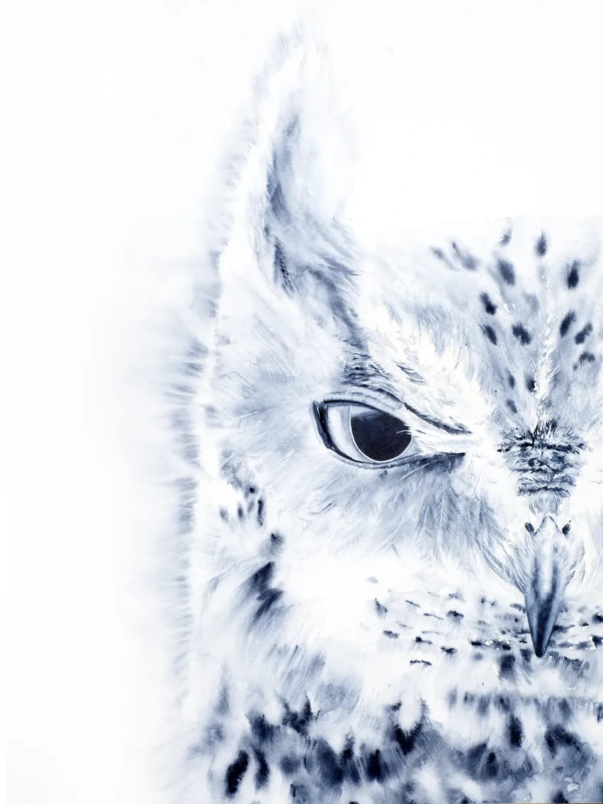 Detailed pencil portrait of a white Arctic owl with dark eye and spotted plumage rendered in grayscale.