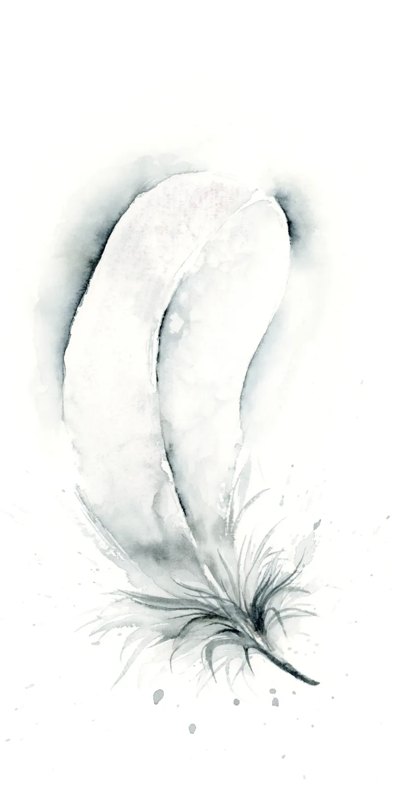 White feathered flower rendered in soft watercolor with delicate gray and mercury tones.
