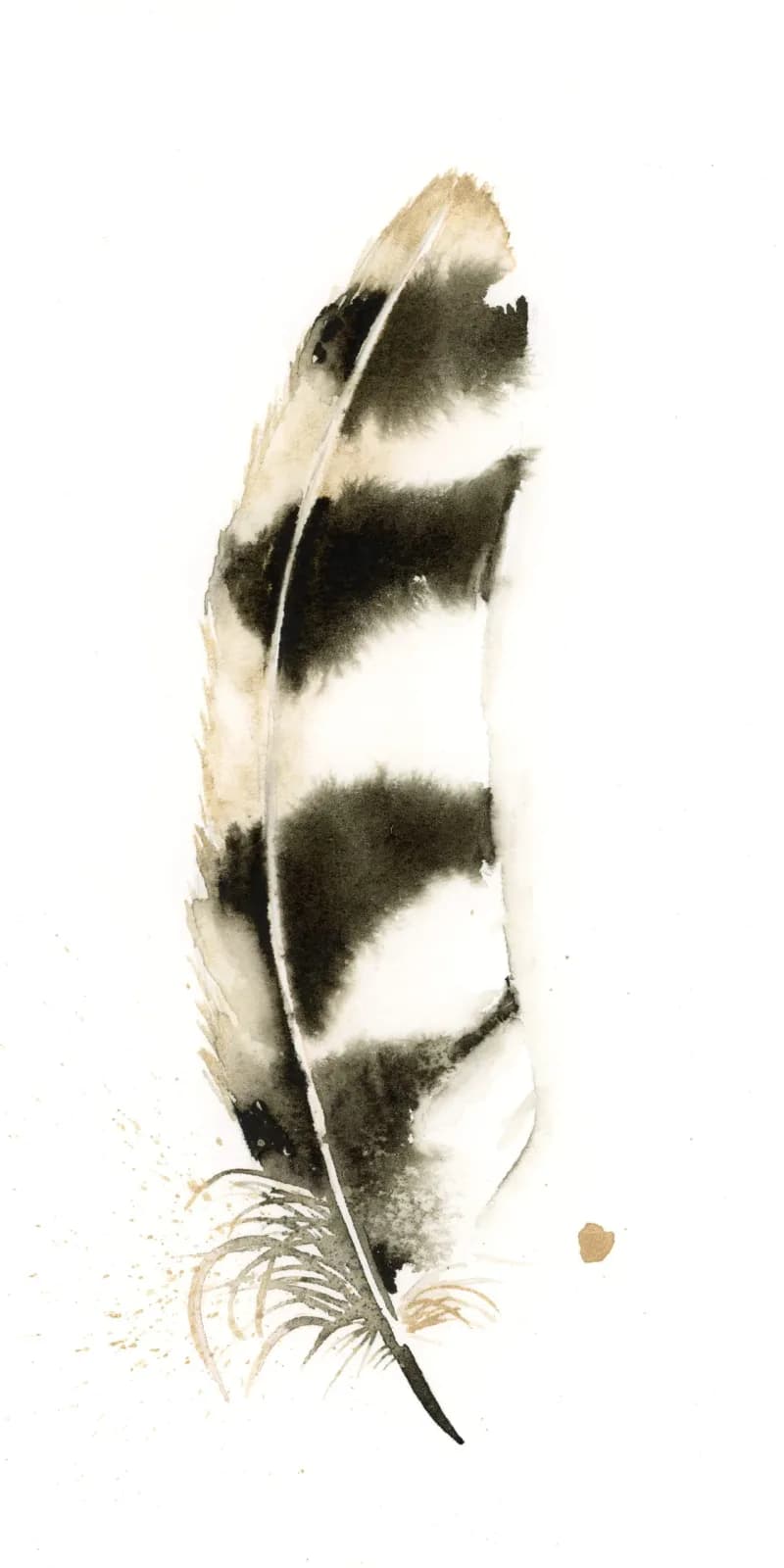 A delicate feather rendered in black ink with pale oyster highlights and subtle taupe gray tones.