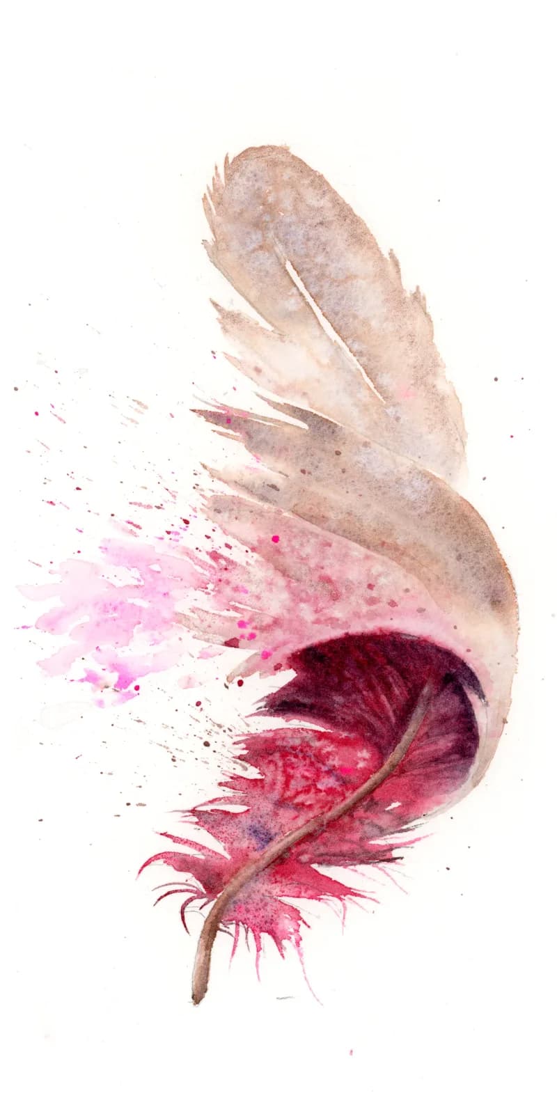 A feather rendered in soft watercolor with pink and magenta splashes dispersing from its tip.