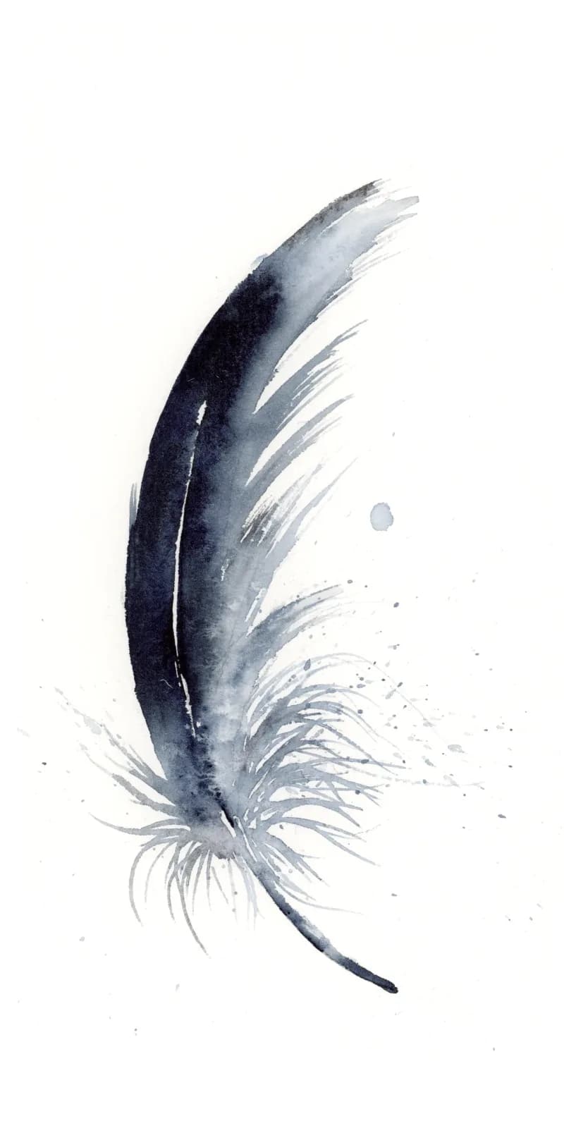 A dark feather rendered in watercolor and ink with soft gray wash and delicate radiating lines.