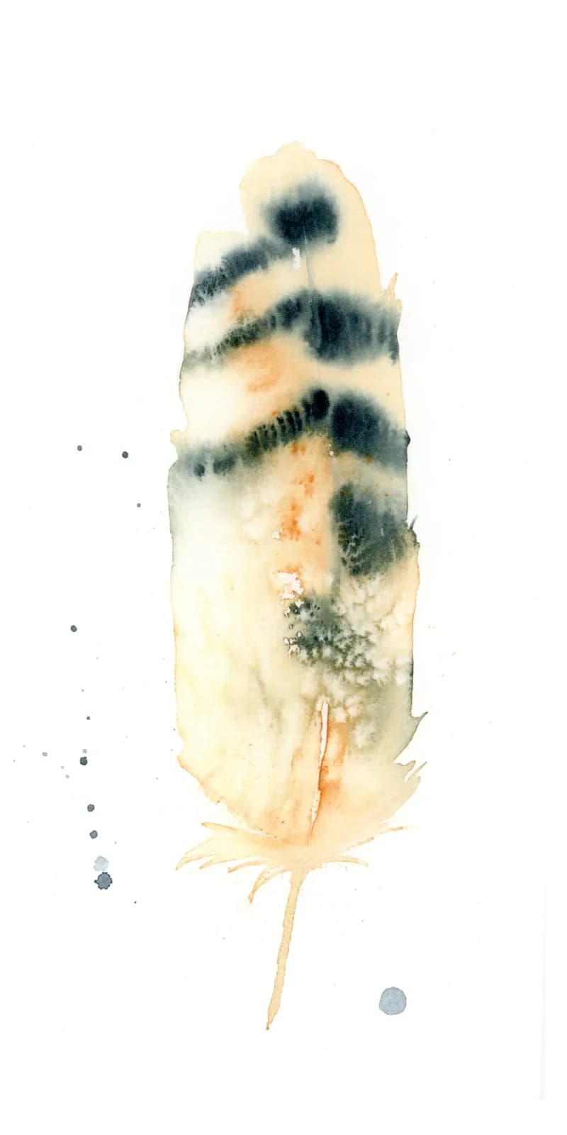 A feather painted in watercolor with cream, charcoal, and brandy tones on white paper.