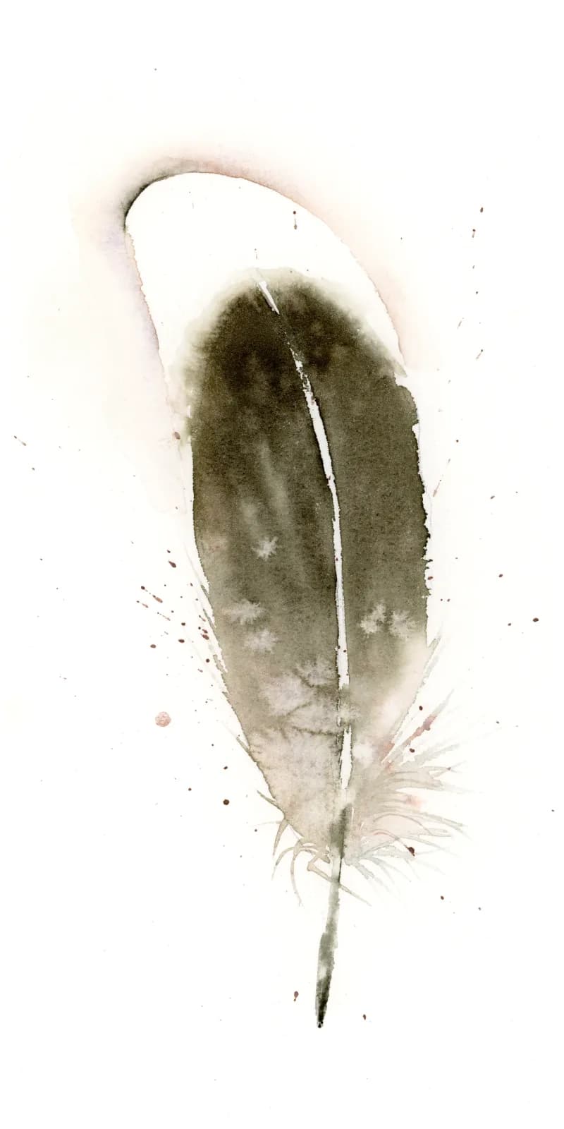 A single feather rendered in watercolor and ink wash, with gray-olive tones and white highlights.