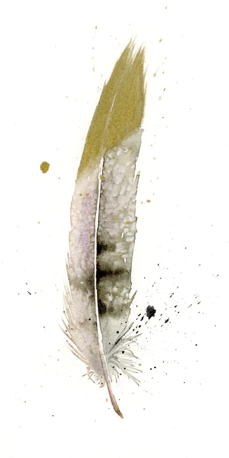 A single feather rendered in watercolor with husk, peat, and ash tones against white.