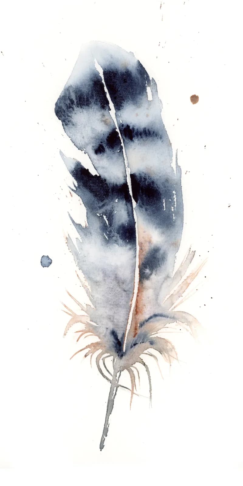 A single feather rendered in watercolor with storm gray and dawn pink tones on white paper.