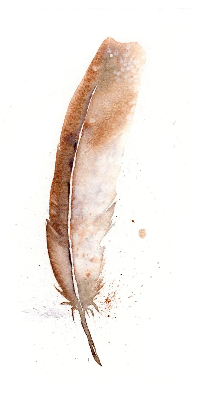 A single feather rendered in watercolor with earth tones and fine linear detail.