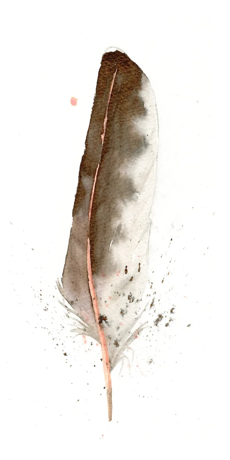 A single feather rendered in watercolor with tobacco brown and pearl tones against white.