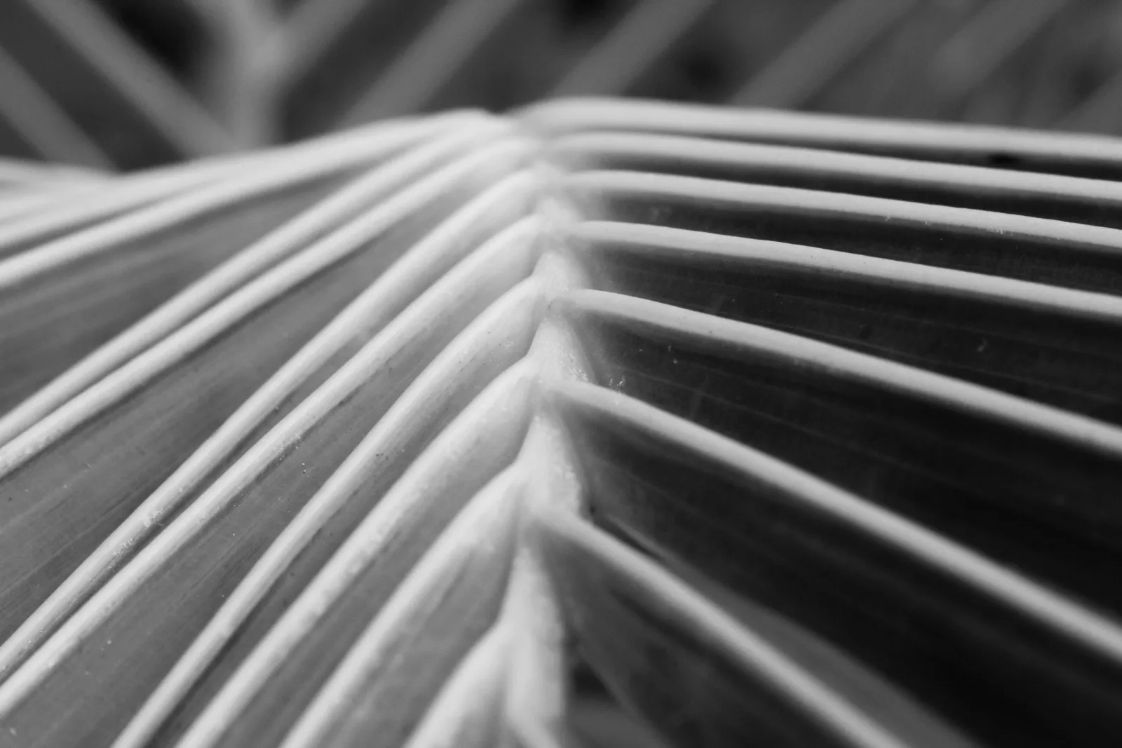 Close-up monochrome photograph of geometric parallel lines and ridges creating an abstract pattern.